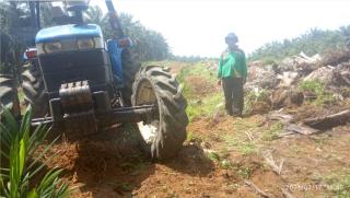 7 Bulan Berlalu, Nasib Usulan Peremajaan Ratusan Hektar Sawit di Jambi Masih Samar