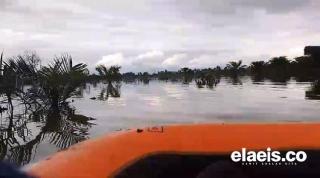 Ratusan Hektar Kebun Sawit di Luwu Utara Terendam Banjir. Tanaman Muda Mati. Belum Ada yang Perduli