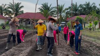 Pekarangan Polsek LBJ Dimanfaatkan untuk Dukung Ketahanan Pangan