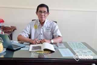 Sepekan ini Harga Sawit di Kalimantan Naik, di Sumatera Malah Anjlok, Ada Apa?