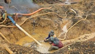 Dua Pemilik Tambang Ilegal di Kebun Sawit Diringkus