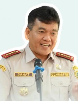 Lima Tumbuhan ini Jadi Komoditas Ekspor Unggulan Indonesia Sepanjang 2024