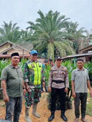 Pemdes di Aceh Singkil Bagi Bibit Sawit Gratis ke 100 KK