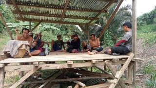 PT ABS di Bengkulu Selatan Tidak Miliki Izin HGU