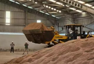 Dapat Pendampingan Bea Cukai, PT Buana Tunas Sejahtera Ekspor Perdana Bungkil Sawit ke Malaysia