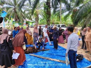 Petani di Sebatik Dilatih Buat Pupuk Organik dari Limbah Sawit