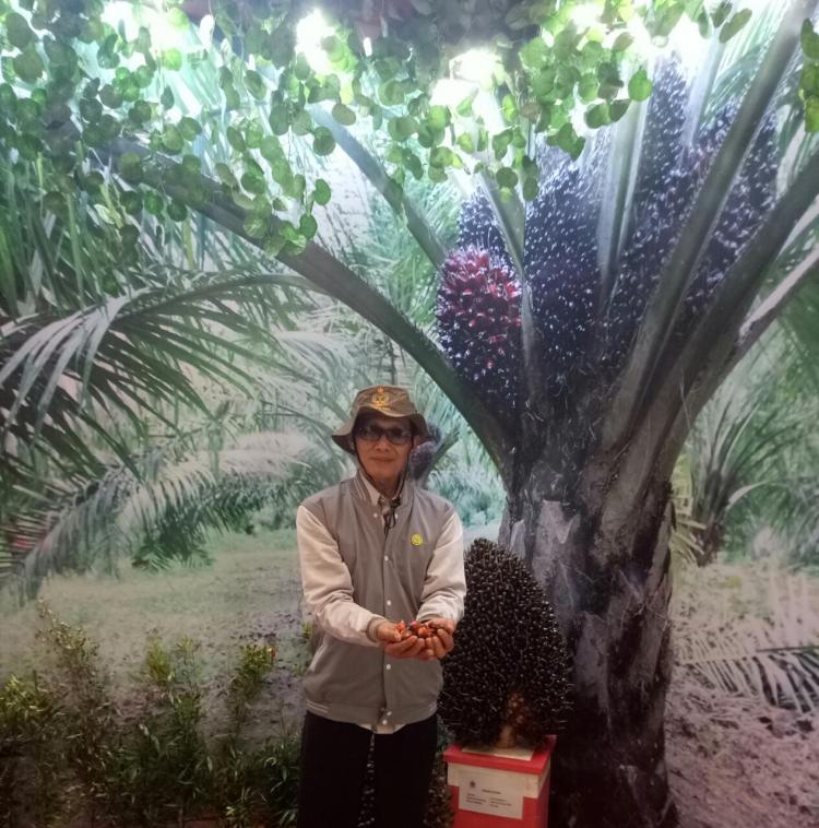 Presiden Buka Opsi Perluasan Lahan Sawit, Petani: yang Ngelola Rakyat atau Perusahaan?