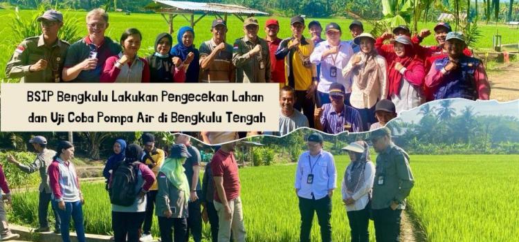 Kebutuhan Air Tidak Cukup, Banyak Sawah di Bengkulu Jadi Kebun Sawit