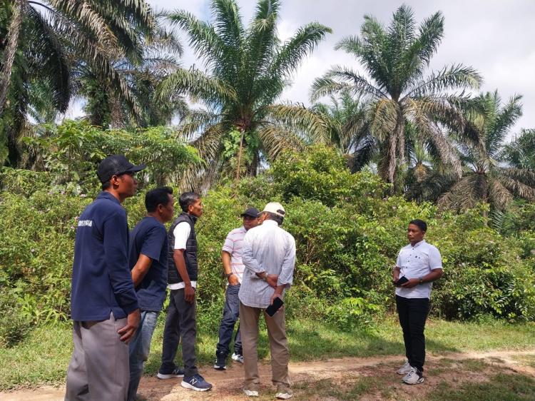 Kebun Sawitnya Masih Berstatus HGU, Petani Desa Tunas Baru Minta Bantuan Aspek-PIR