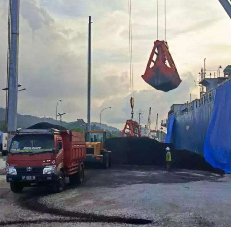 Bea Cukai Parepare Layani Ekspor Cangkang Sawit ke Korsel