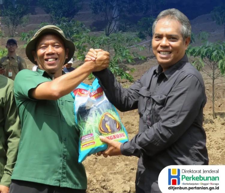 Bantu Budidaya Padi Gogo, Perusahaan Perkebunan Dianggap Telah Penuhi Kewajiban Plasma