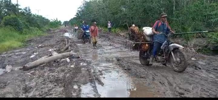 Jalan Rusak, Harga Sawit di Siak Kecil Jeblok