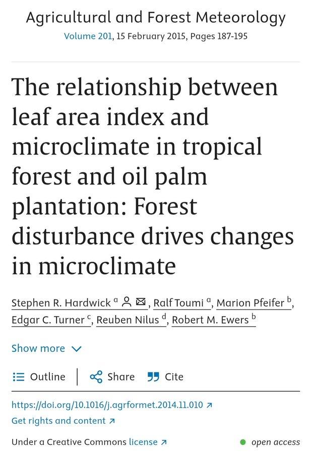 Profesor BRIN Ingatkan, Konversi Hutan Jadi Kebun Sawit Bisa Ubah Iklim Mikro