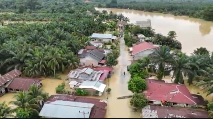 260 Hektar Kebun Sawit di Gunung Sahilan Terendam Banjir
