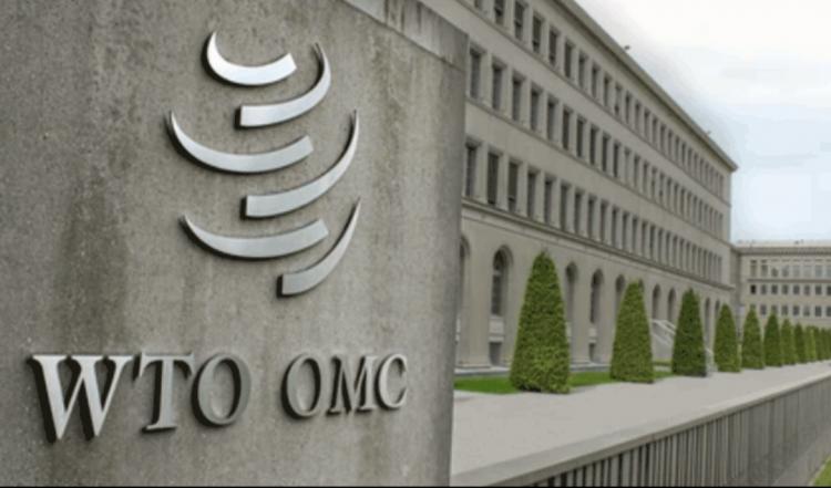 Di WTO, Indonesia Berhasil Buktikan Diskriminasi Uni Eropa Terhadap Minyak Sawit dan Biofuel