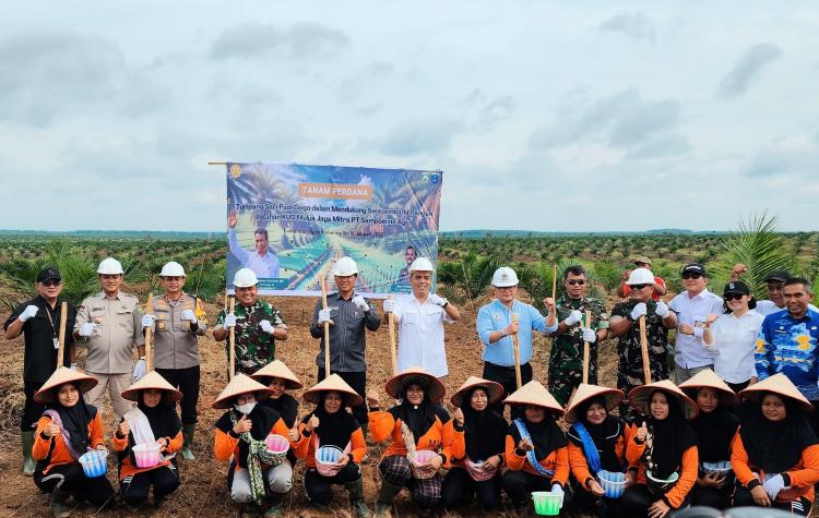 Kejar Swasembada Pangan, Kementan Tanam Perdana Padi Gogo di Lahan Sawit di Sumsel