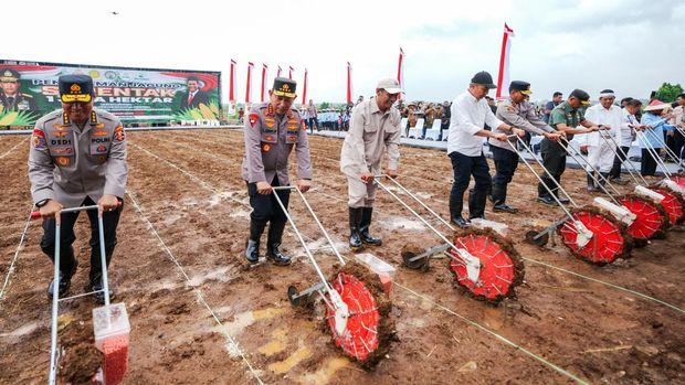 Dukung Swasembada Pangan, Polri Targetkan Tanam Satu Juta Hektar Jagung