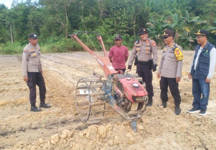 Lahan Perusahaan Sawit dan Petani di Meliau Siap Ikut Tanam Jagung Serentak