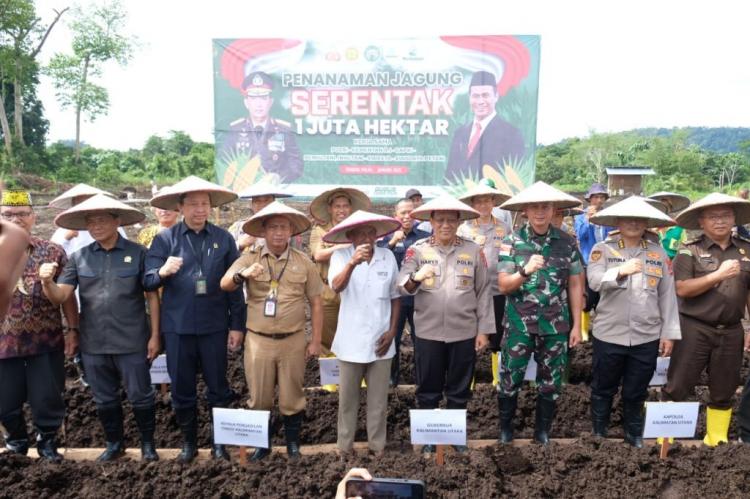 GAPKI Kaltara Sediakan 1.372 Hektar Lahan Sawit untuk Program Tumpang Sari