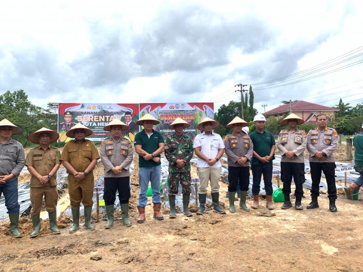 Kontribusi dari Inhu untuk Seluruh Negeri, PT TPP Ikut Tanam Jagung Serentak