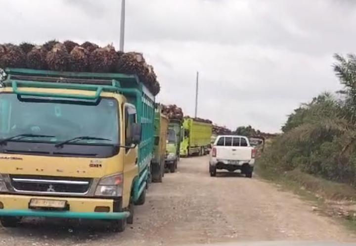 PKS PTPN 4 Regional 1 Rusak, Petani Banten Jual TBS Sawit ke Lampung
