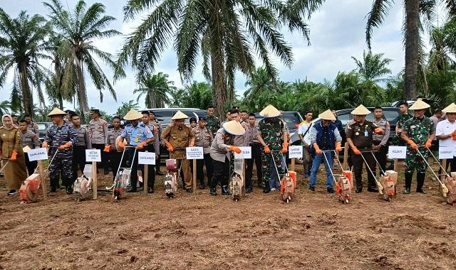 Anak Perusahaan Pelat Merah ini Siapkan Lahan Tumpang Sari Lebih 1.000 Hektar
