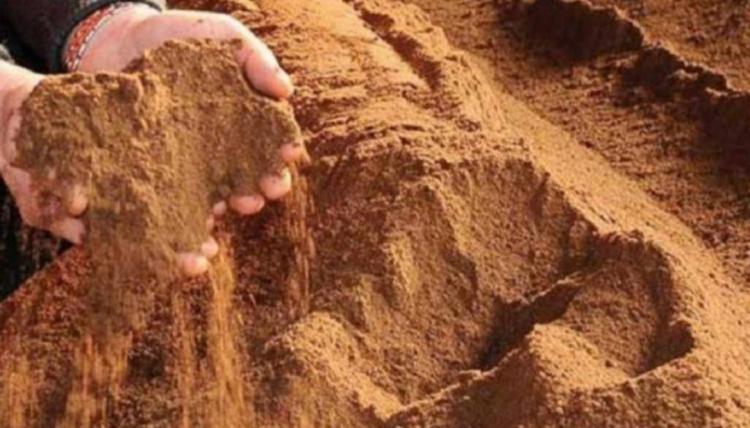 Jadi Pakan Ayam Broiler, Bungkil Inti Sawit Bisa Tekan Impor Bungkil Kedelai