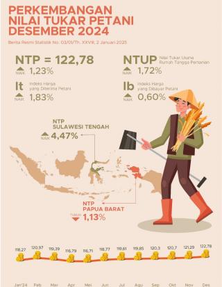Naik, Nilai Tukar Petani Nasional Desember 2024 Capai 122,78