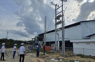 Dukung Operasional, PLN Pasok Listrik 555 kVA ke Perusahaan Sawit di Pekanbaru