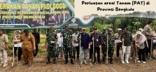 BSIP Bengkulu Dampingi Penyuluh Pada Kegiatan Tusip Tanaman Sawit dengan Tanaman Pangan