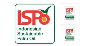 Banyak Perusahaan Sawit di Riau Belum Kantongi ISPO, Diberi Tenggat November 2025