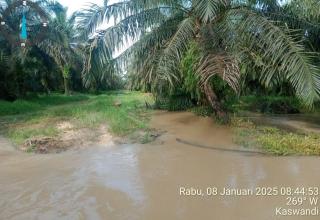 280 Hektar Kebun Sawit Koppsa-M Terendam Banjir