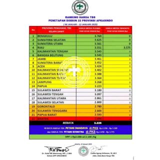 Bengkulu Masih Rajai Harga TBS Sawit se-Nusantara