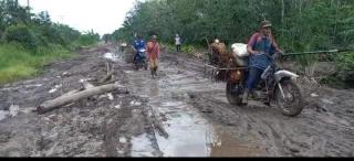Jalan Rusak, Harga Sawit di Siak Kecil Jeblok