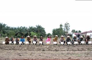 Luas Kebun Sawit Terbatas, Program Tumpang Sari Jagung di Pematangsiantar Tak Maksimal