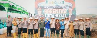 50 Hektar Kebun Sawit Disiapkan Perusahaan di Kuansing untuk Tumpang Sari Jagung