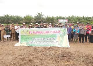 Ikut Tanam Serentak, Kubu Raya Berpotensi Ekspor Jagung ke Malaysia