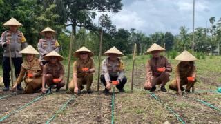 Seluruh Perusahaan Sawit di Pasaman Barat akan Dilibatkan dalam Program Tumpang Sari