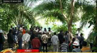 DPRD Tala Tinjau Lokasi Konflik Kebun Plasma Sawit di Eks Tambang PT Arutmin