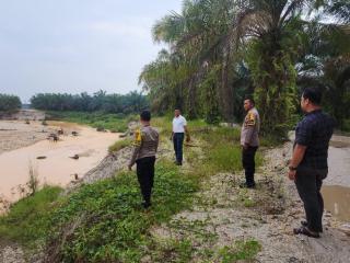 Susuri Kebun Sawit di Kuantan Mudik Cari Aktivitas PETI, Petugas Hanya Temukan ini