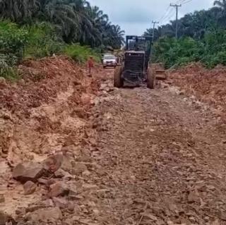 Sawit Terancam Busuk Karena Jalan Rusak Parah, Petani Perbaiki Secara Swadaya