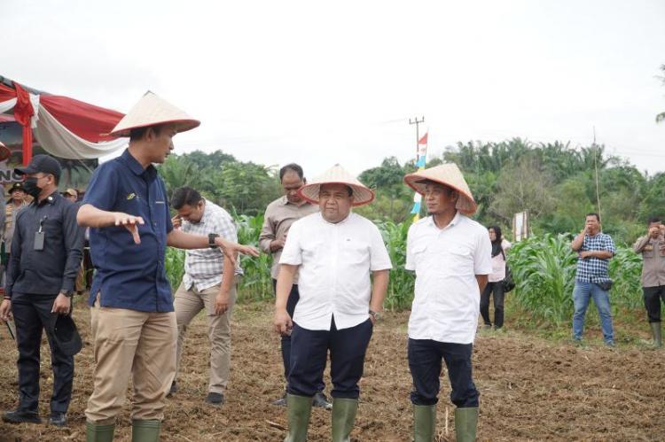 Program Astacita Prabowo Subianto: Kolaborasi Polda Jambi dan PTPN IV Tanam Jagung Serentak untuk Swasembada Pangan
