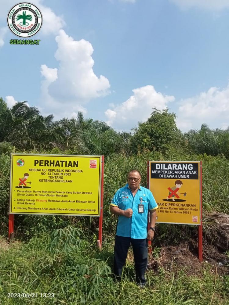 Kewajiban Plasma Naik Jadi 30%, Petani Sawit: Sudah Saatnya Masyarakat Merasakan Manfaat