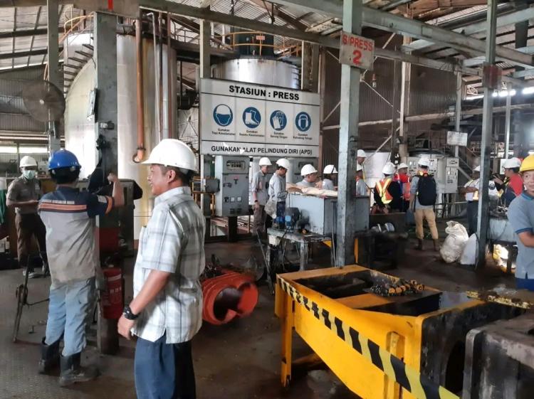 Pemerintah Diminta Tertibkan Pabrik Sawit Tanpa Kebun di Kalbar