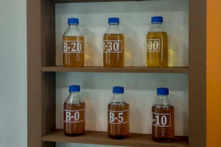 Persentase Minyak Sawit pada Biodiesel Terus Ditambah, Begini Efeknya Terhadap Devisa dan Emisi Karbon