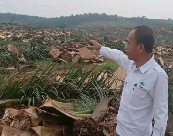Tolak Penutupan Pabrik Sawit, Petani Minta Anggota DPRD Merangin Tidak Terbawa Emosi