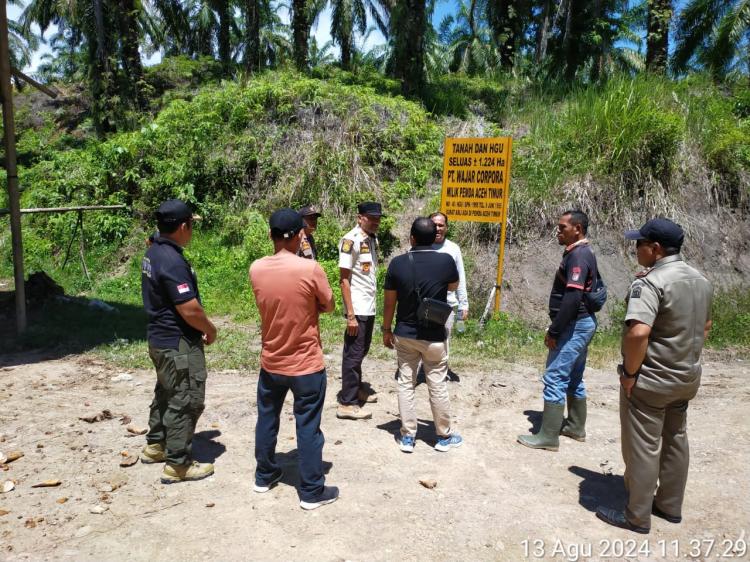 33 Tahun Tak Pernah Setor PAD, Pengelolaan 2 BUMD Sawit Aceh di Timur Diserahkan ke Pihak Ketiga