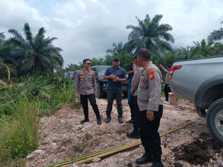 Lahan Sawit Perusahaan di Bengkalis Ditanami Jagung Pola Tumpang Sari