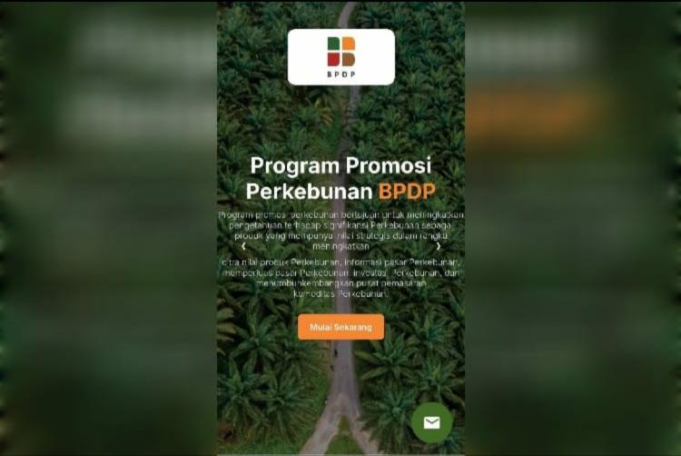 Mudahkan Mitra Akses Pendanaan Promosi Sawit, BPDP Luncurkan AKSI NYATA
