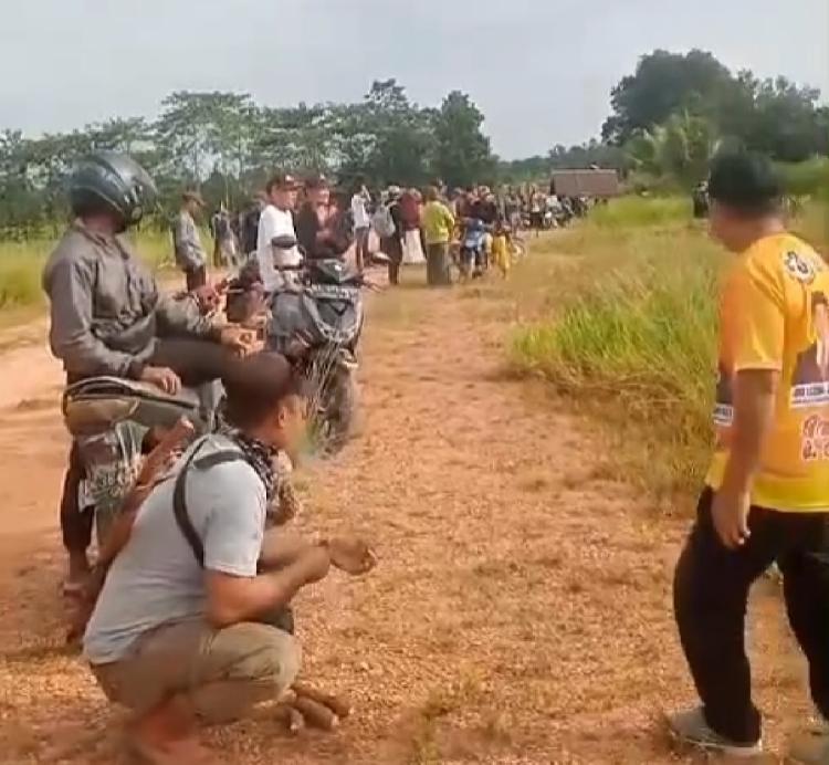 Perusahaan Sawit Gusur Lahan dan Rumah Masyarakat di Konawe Selatan, Diadukan ke DPD RI